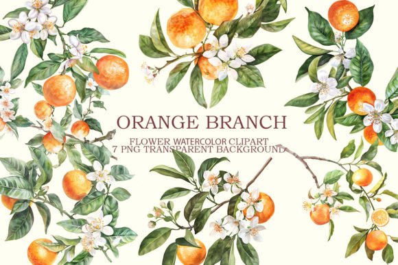 Download Orange Branch Clipart Bundle - Art Collection