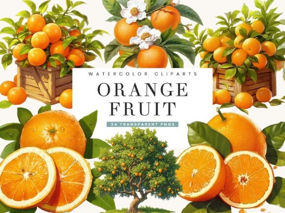 Download Watercolor Italy Orange Fruit Clipart - Art Collection