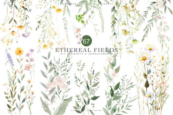 Download Watercolor Delicate Wildflower Clipart - Art Collection
