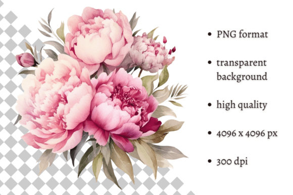 Download Watercolor Delicate Peonies Clipart - Art Collection