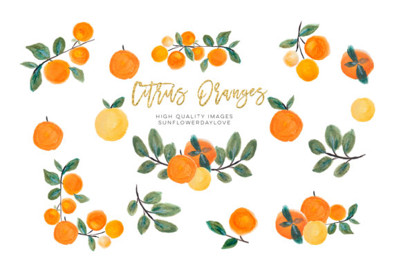 Download Orange Clip Art, Oranges Fruits Clipart - Art Collection